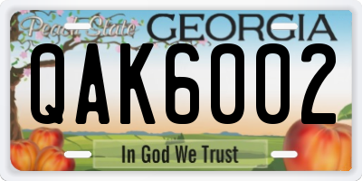 GA license plate QAK6002