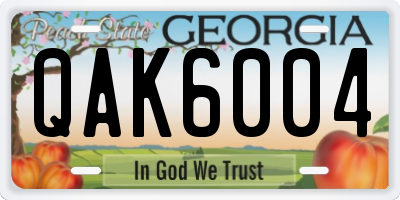GA license plate QAK6004