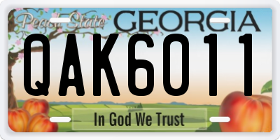 GA license plate QAK6011