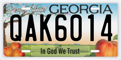 GA license plate QAK6014