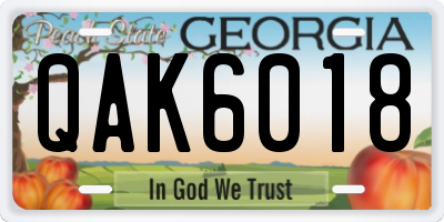 GA license plate QAK6018