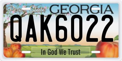 GA license plate QAK6022