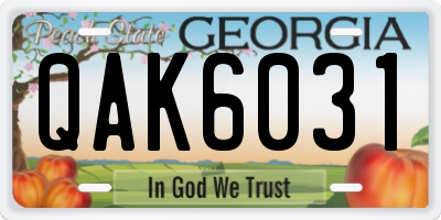 GA license plate QAK6031