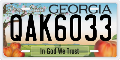 GA license plate QAK6033