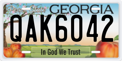 GA license plate QAK6042