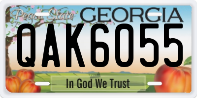 GA license plate QAK6055