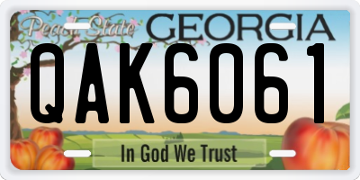 GA license plate QAK6061