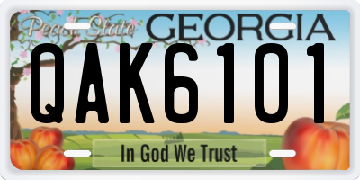 GA license plate QAK6101