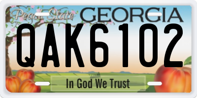 GA license plate QAK6102