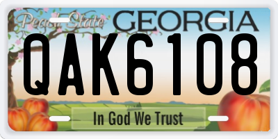 GA license plate QAK6108