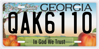 GA license plate QAK6110