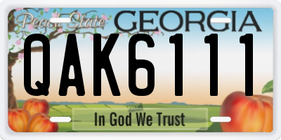 GA license plate QAK6111