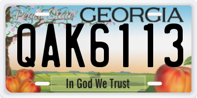 GA license plate QAK6113
