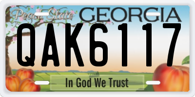 GA license plate QAK6117