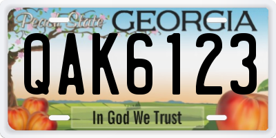 GA license plate QAK6123