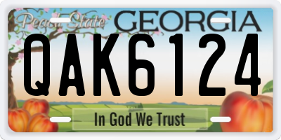 GA license plate QAK6124