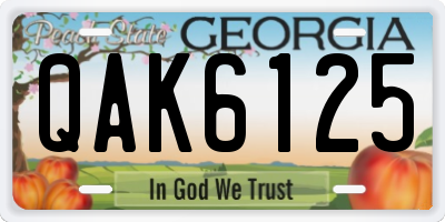 GA license plate QAK6125