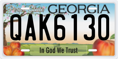 GA license plate QAK6130