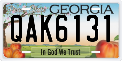 GA license plate QAK6131