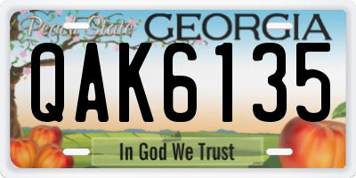 GA license plate QAK6135