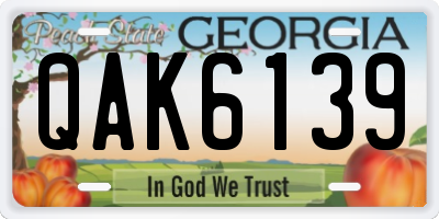 GA license plate QAK6139