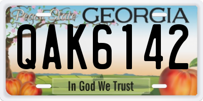 GA license plate QAK6142