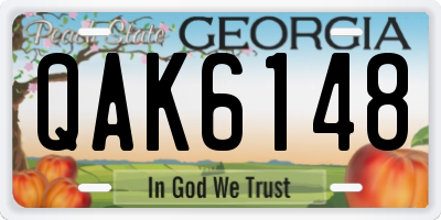 GA license plate QAK6148