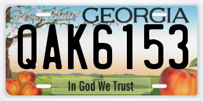GA license plate QAK6153