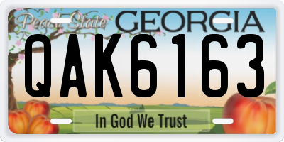 GA license plate QAK6163