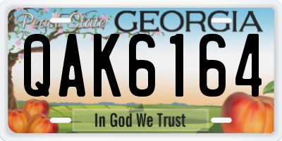 GA license plate QAK6164