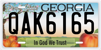 GA license plate QAK6165
