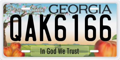 GA license plate QAK6166