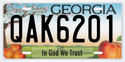 GA license plate QAK6201