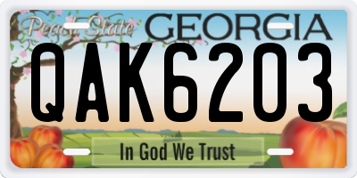 GA license plate QAK6203