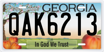 GA license plate QAK6213