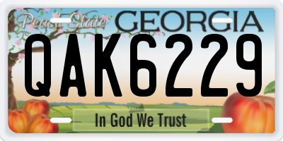 GA license plate QAK6229
