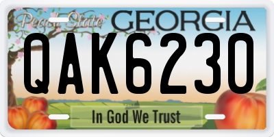 GA license plate QAK6230