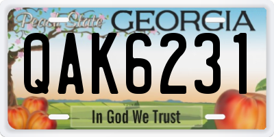 GA license plate QAK6231