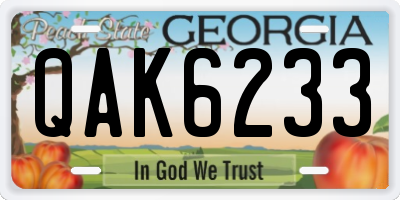 GA license plate QAK6233