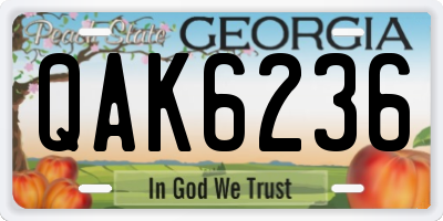 GA license plate QAK6236