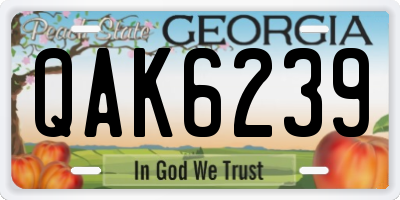 GA license plate QAK6239