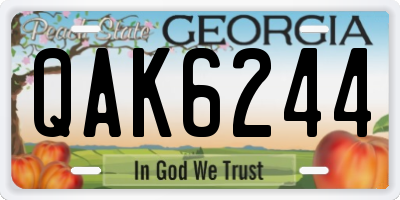 GA license plate QAK6244
