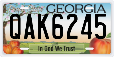 GA license plate QAK6245
