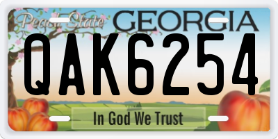 GA license plate QAK6254