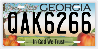 GA license plate QAK6266