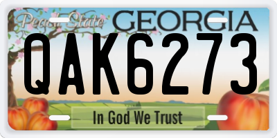 GA license plate QAK6273