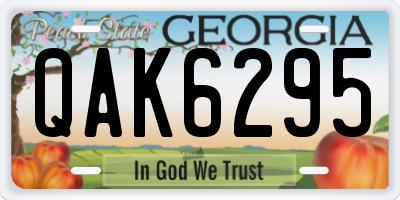 GA license plate QAK6295