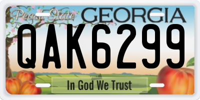 GA license plate QAK6299