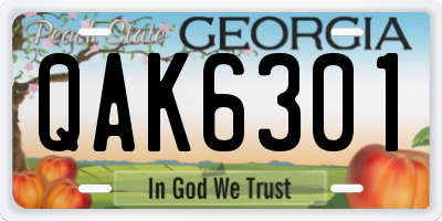 GA license plate QAK6301
