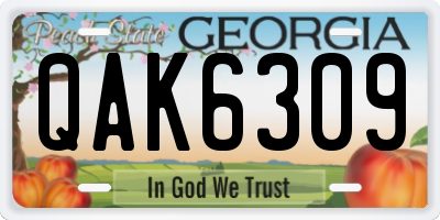 GA license plate QAK6309